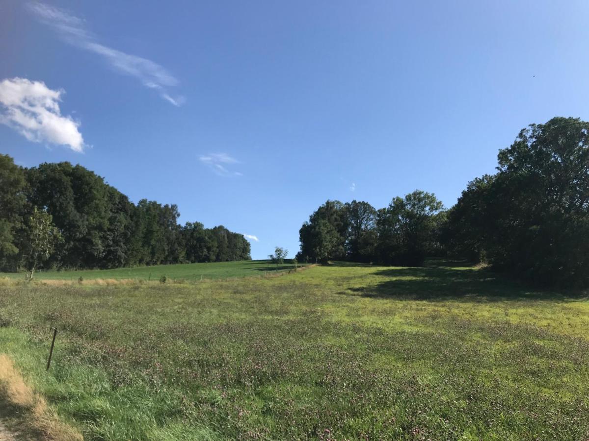 Landhotel Trakehnerhof Eppendorf  Exteriör bild